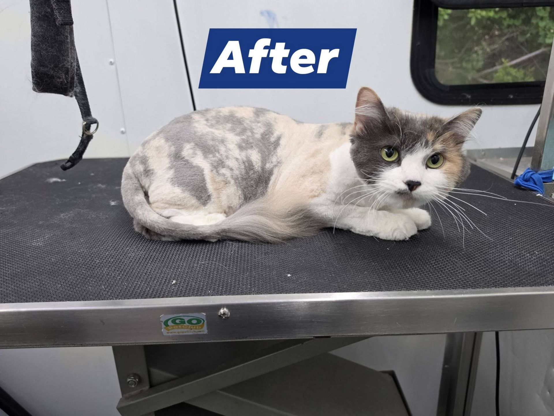 Before and after - after