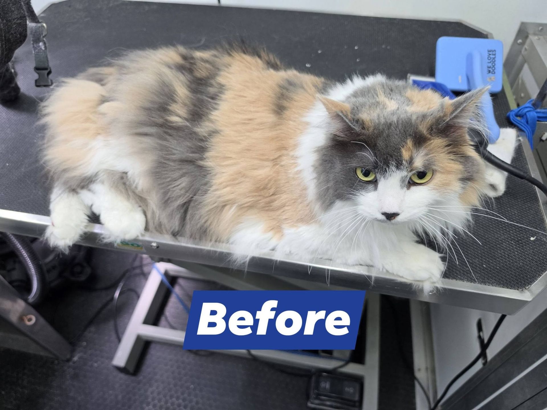 Before and after - before